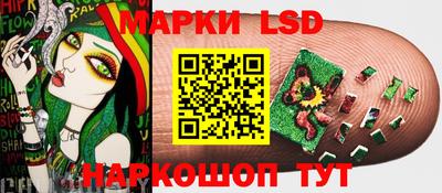 индика Нальчик