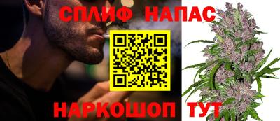 индика Нальчик
