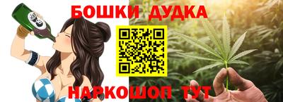 индика Нальчик