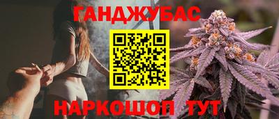 индика Нальчик
