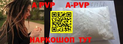 индика Нальчик