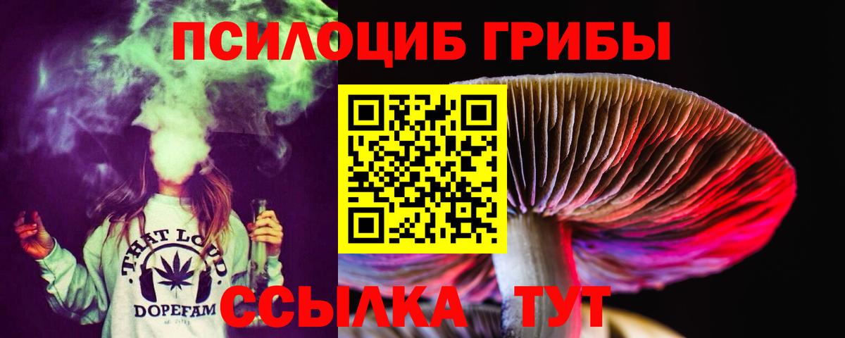 Псилоцибиновые грибы прущие грибы  Вход с VPN  Химки 